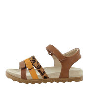 PRIMIGI 1885022 PDO 18850 V.VEG/SC.J/SC.В BISCOT/C