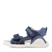 Biomecanics 242258-A SAN DALI A URBAN OCEAN (SAUVAGE)