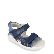 Biomecanics 242258-A SAN DALI A URBAN OCEAN (SAUVAGE)