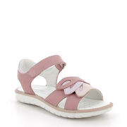 PRIMIGI 7888111 PAL 78881 NABUK CODEX ROSA ANT