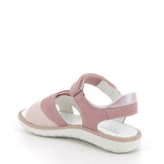 PRIMIGI 7888111 PAL 78881 NABUK CODEX ROSA ANT
