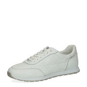 Caprice 23717-126 WHITE DEER COM