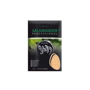 Salamander Professional 0.1.88714.002.4-001 Excellent