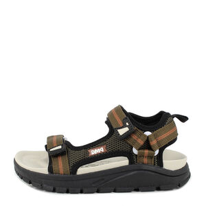 PRIMIGI 7970644 PZG 79706 T.RETE/NASTRO BOSCO/BO