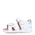 Garvalin 242303-A SANDALIA ESTAMPADACUARZO (SAUVAGE)