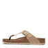 Salamander F31-AV380-1200-6300 cognac
