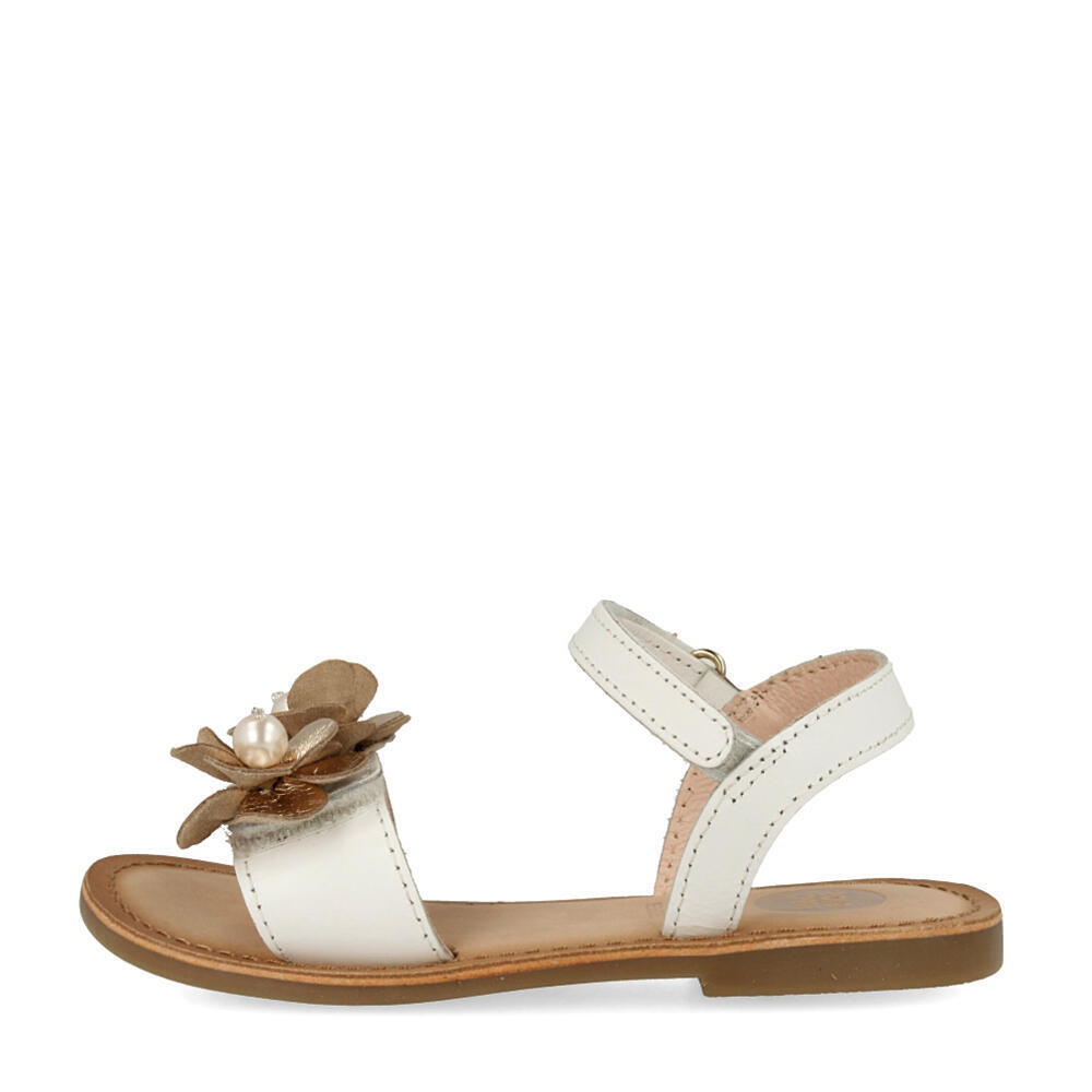 Gioseppo 44648-P 44648 Gold