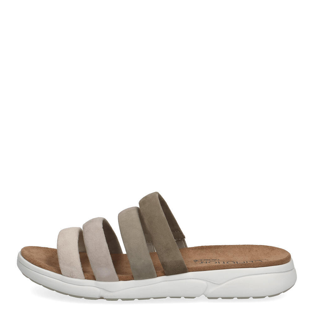 Caprice 27102-724 CACTUS MULTI