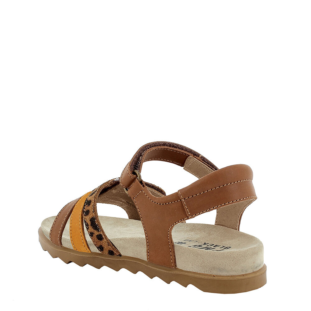 PRIMIGI 1885022 PDO 18850 V.VEG/SC.J/SC.В BISCOT/C