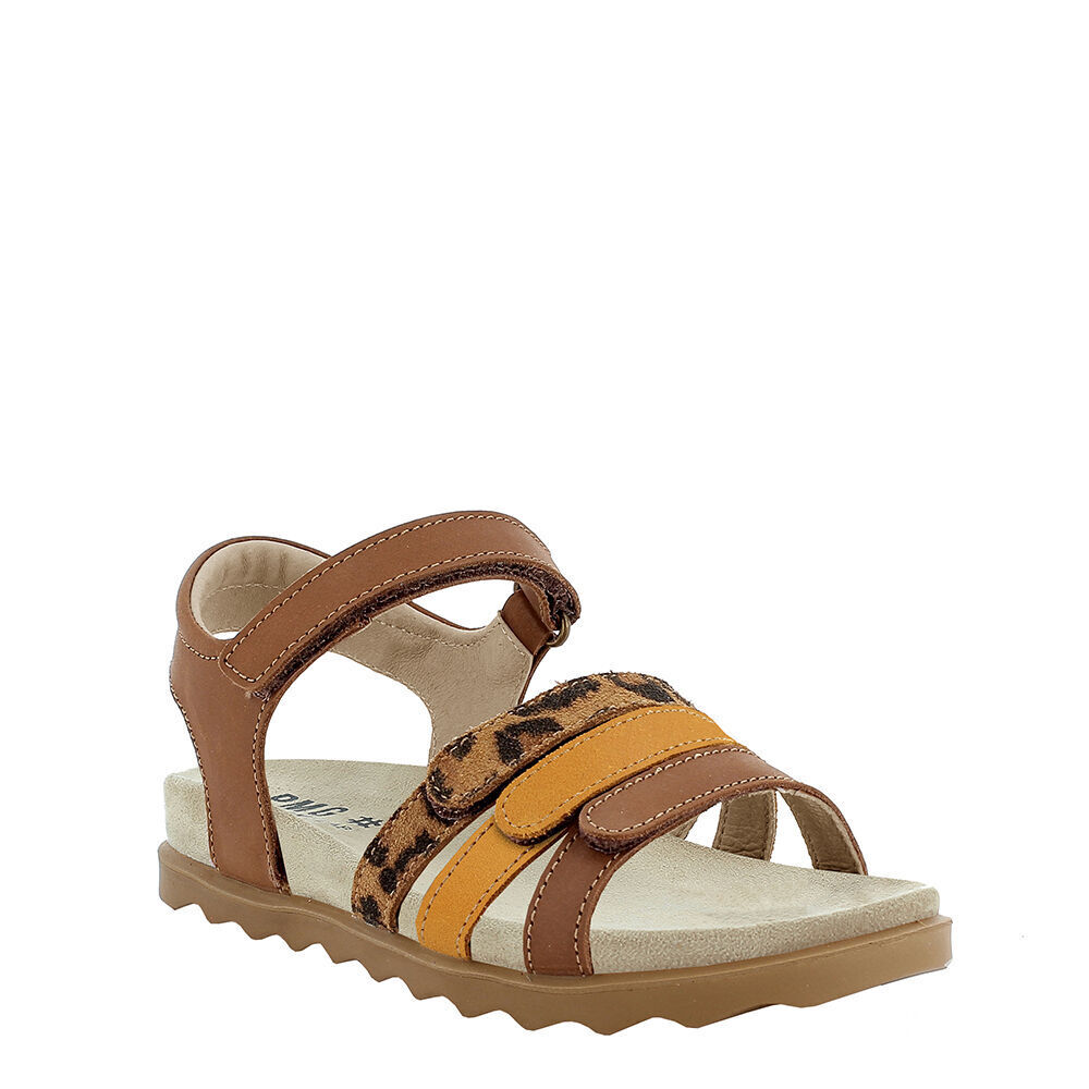 PRIMIGI 1885022 PDO 18850 V.VEG/SC.J/SC.В BISCOT/C