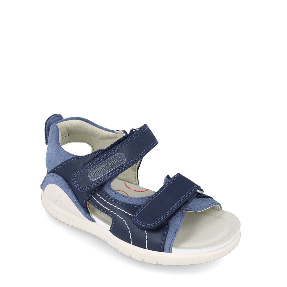 Biomecanics 242258-A SAN DALI A URBAN OCEAN (SAUVAGE)