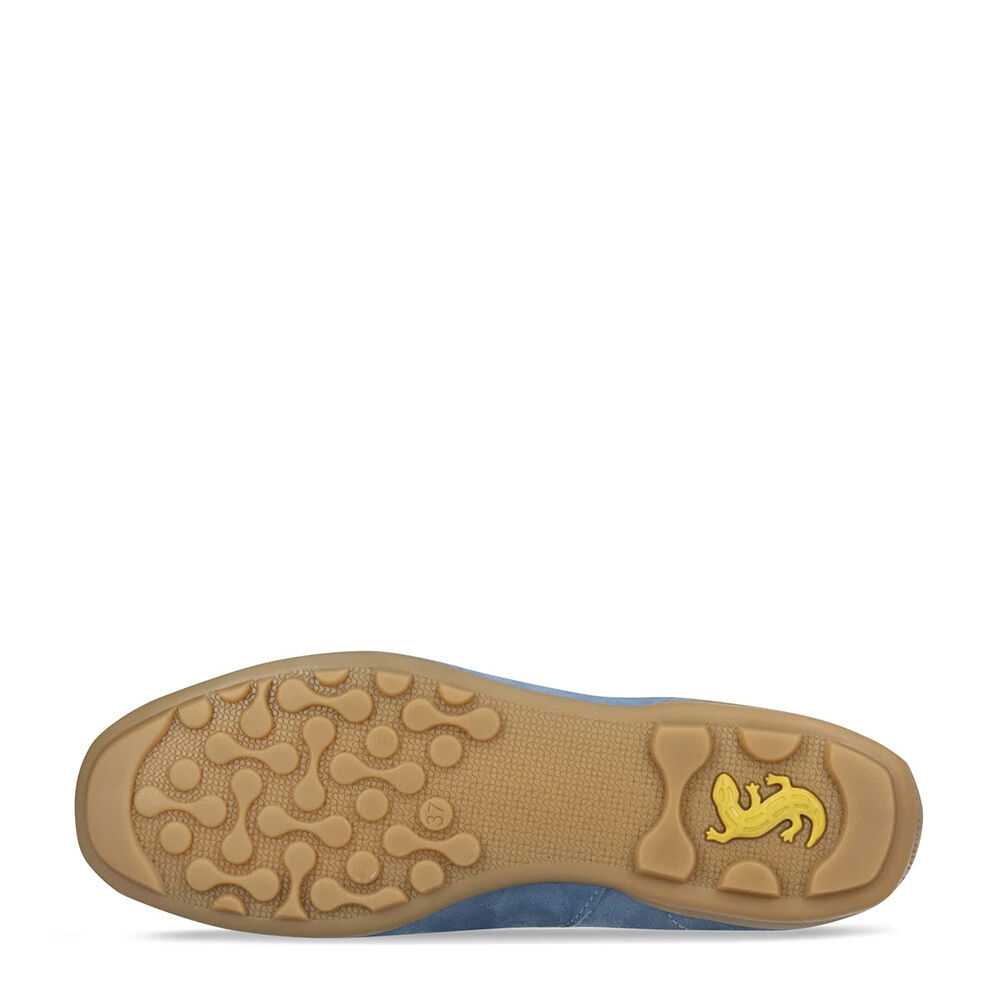 Salamander F31-ARI60-3400-4200 light blue