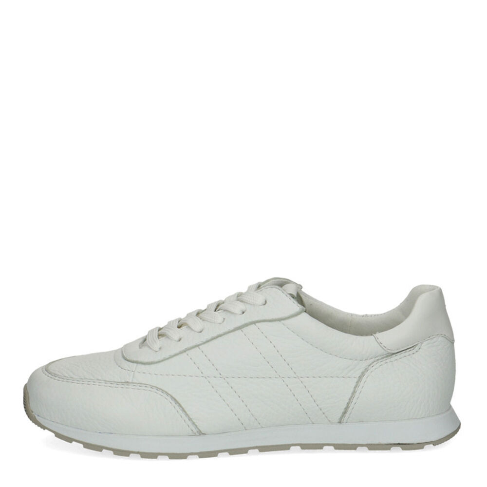 Caprice 23717-126 WHITE DEER COM