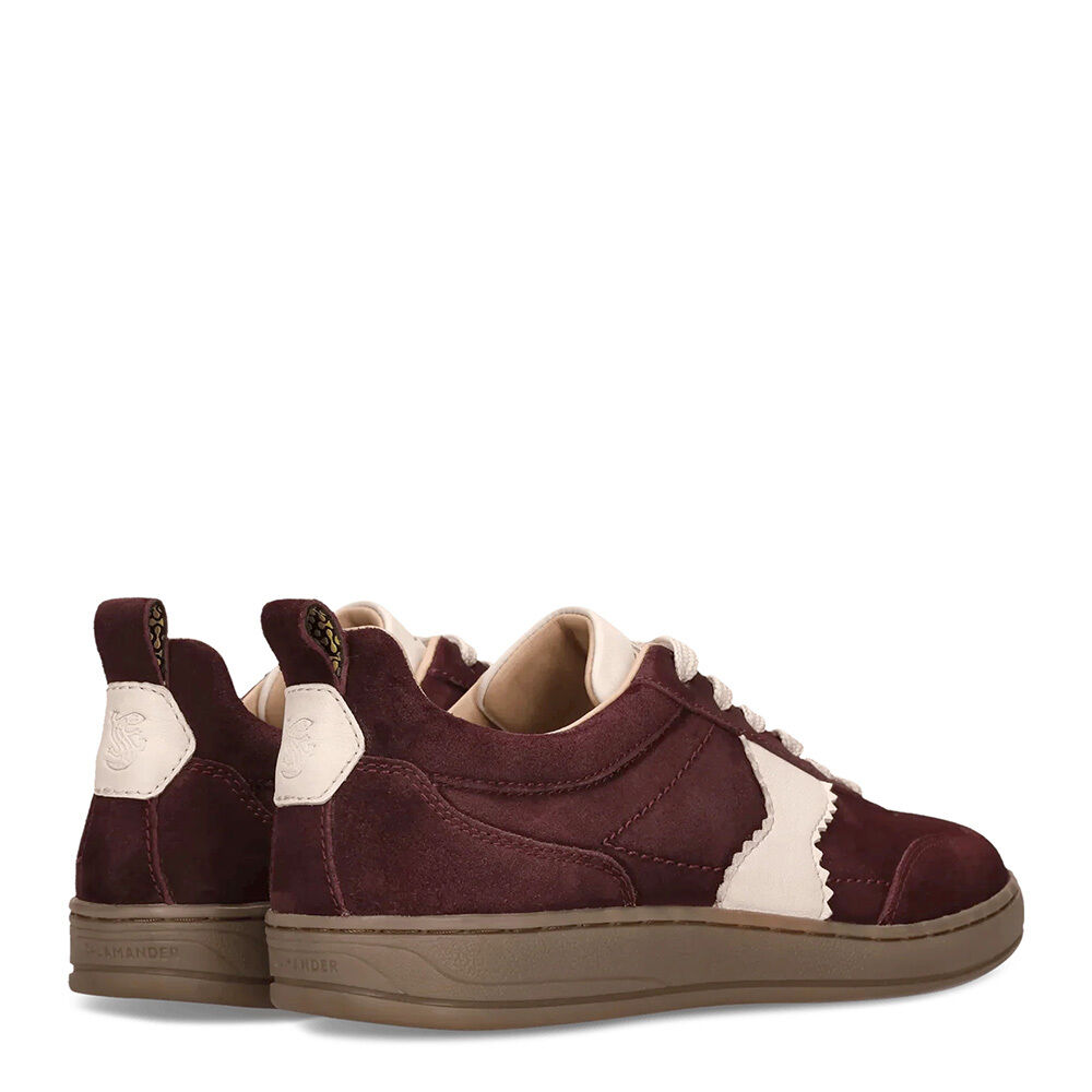Salamander F31ARN031440-3521 bordo/offwhite