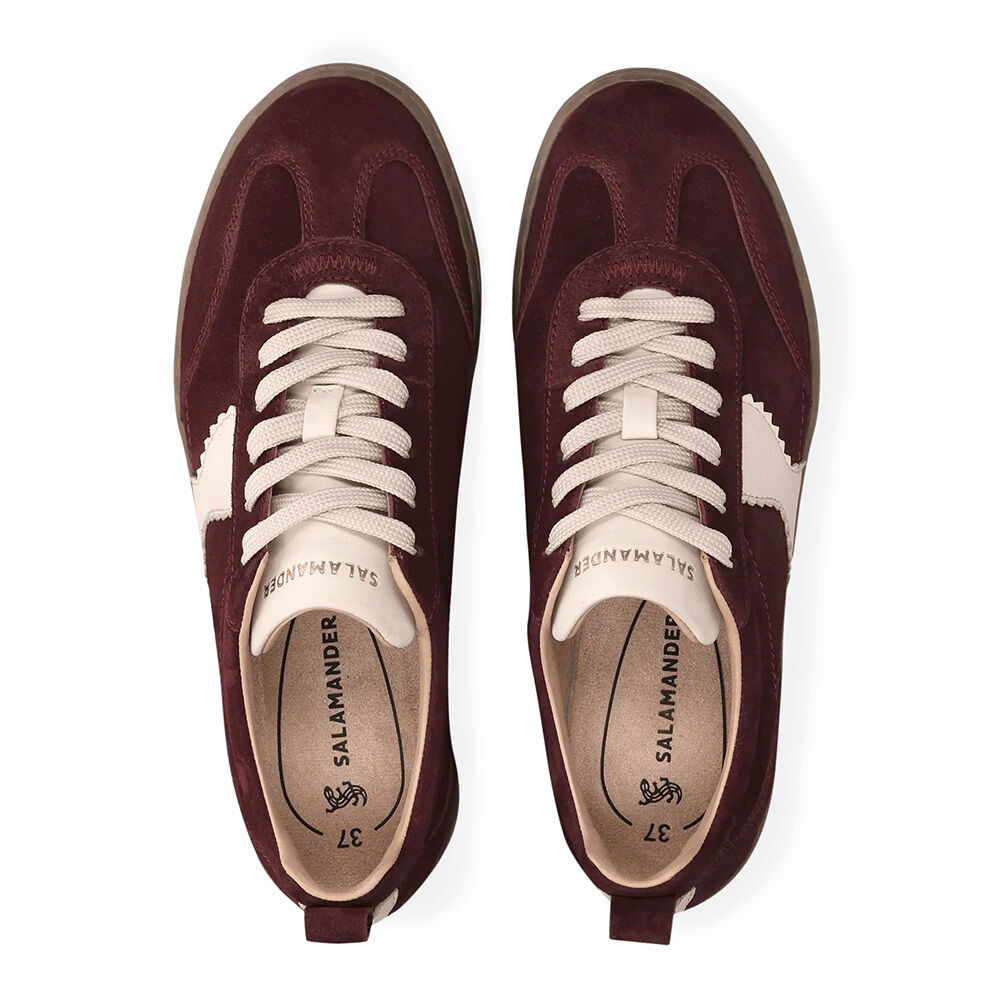 Salamander F31ARN031440-3521 bordo/offwhite