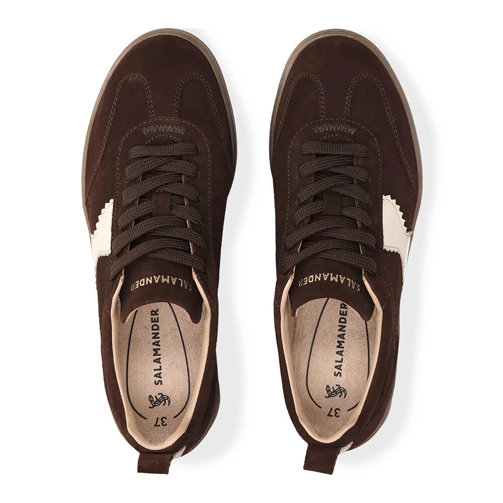 Salamander F31ARN031440-6121 dark brown/offwhite