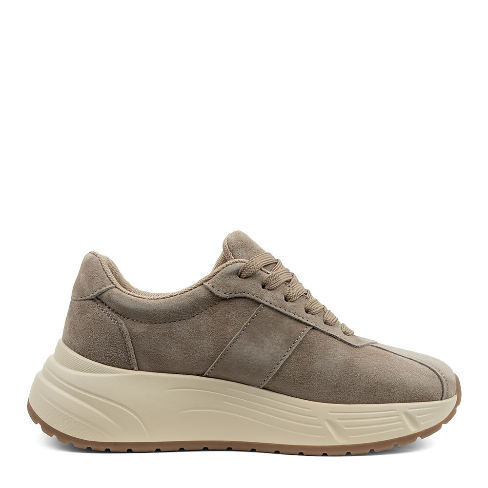 Roxby 71455X-beige